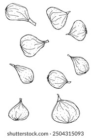 Outline illustration vector image of a fig.
Hand drawn artwork of a figs.
Simple cute original logo.
Hand drawn vector illustration for posters.