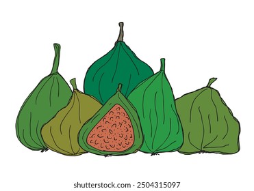 Outline illustration vector image of a fig.
Hand drawn artwork of a figs.
Simple cute original logo.
Hand drawn vector illustration for posters.