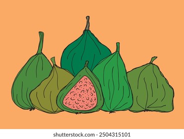 Esquema ilustración Vector Imagen de una fig.
Dibujado a mano obra de arte de un higo.
Logo original lindo simple.
Ilustración vectorial dibujada a mano para carteles.