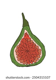 Outline illustration vector image of a fig.
Hand drawn artwork of a figs.
Simple cute original logo.
Hand drawn vector illustration for posters.