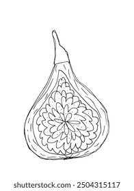 Outline illustration vector image of a fig.
Hand drawn artwork of a figs.
Simple cute original logo.
Hand drawn vector illustration for posters.