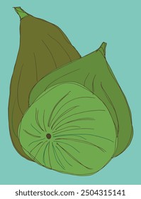 Outline illustration vector image of a fig.
Hand drawn artwork of a figs.
Simple cute original logo.
Hand drawn vector illustration for posters.