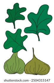 Outline illustration vector image of a fig.
Hand drawn artwork of a figs.
Simple cute original logo.
Hand drawn vector illustration for posters.