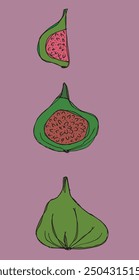 Outline illustration vector image of a fig.
Hand drawn artwork of a figs.
Simple cute original logo.
Hand drawn vector illustration for posters.