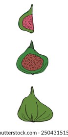 Outline illustration vector image of a fig.
Hand drawn artwork of a figs.
Simple cute original logo.
Hand drawn vector illustration for posters.