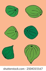 Outline illustration vector image of a fig.
Hand drawn artwork of a figs.
Simple cute original logo.
Hand drawn vector illustration for posters.