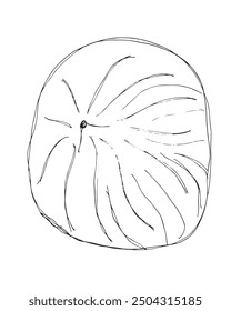 Outline illustration vector image of a fig.
Hand drawn artwork of a figs.
Simple cute original logo.
Hand drawn vector illustration for posters.