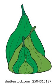 Outline illustration vector image of a fig.
Hand drawn artwork of a figs.
Simple cute original logo.
Hand drawn vector illustration for posters.