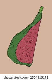 Outline illustration vector image of a fig.
Hand drawn artwork of a figs.
Simple cute original logo.
Hand drawn vector illustration for posters.