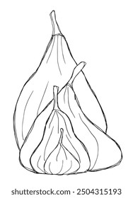 Outline illustration vector image of a fig.
Hand drawn artwork of a figs.
Simple cute original logo.
Hand drawn vector illustration for posters.
