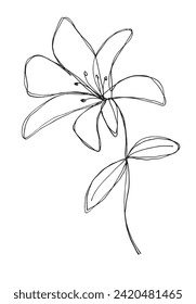 Outline illustration vector image of a flower.
Hand drawn artwork of a flowers.
Simple cute original logo.
Hand drawn vector illustration for posters.