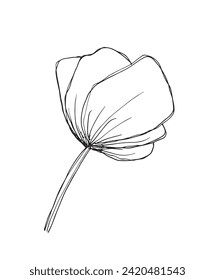 Outline illustration vector image of a flower.
Hand drawn artwork of a flowers.
Simple cute original logo.
Hand drawn vector illustration for posters.