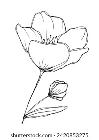 Outline illustration vector image of a flower.
Hand drawn artwork of a flowers.
Simple cute original logo.
Hand drawn vector illustration for posters.