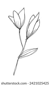 Ilustración de esquema de imagen vectorial de una flor.
Obra artística de mano de una flor.
Simple y lindo logo original.
Ilustración vectorial dibujada a mano para afiches.
