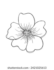 Outline illustration vector image of a flower.
Hand drawn artwork of a flowers.
Simple cute original logo.
Hand drawn vector illustration for posters.