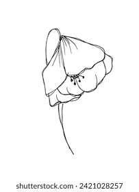 Outline illustration vector image of a flower.
Hand drawn artwork of a flowers.
Simple cute original logo.
Hand drawn vector illustration for posters.