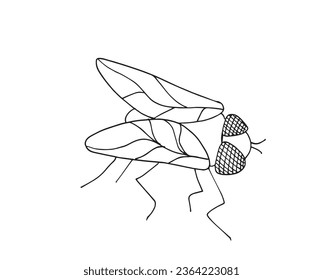 Ilustración de esquema de imagen vectorial de una mosca.
Obra artística de mano de una mosca. 
Simple y lindo logo original.
Ilustración vectorial dibujada a mano para afiches, tarjetas, camisetas.