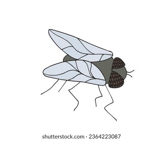 Umrissgrafik, Vektorbild einer Fliege.
Handgezeichnete Kunstwerke einer Fliege. 
Einfaches, niedliches Originallogo.
Handgezeichnete Vektorgrafik für Poster, Karten, T-Shirts.