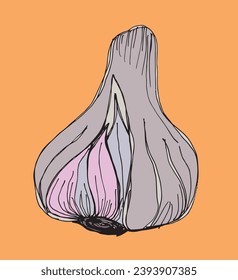Ilustración de esquema de imagen vectorial del ajo.
Obra artística de mano de un ajo.
Simple y lindo logo original.
Ilustración vectorial dibujada a mano para afiches, tarjetas, camisetas.