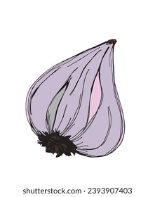 Outline illustration vector image of garlic.
Hand drawn artwork of a garlic.
Simple cute original logo.
Hand drawn vector illustration for posters, cards, t-shirts.
