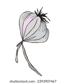 Outline illustration vector image of garlic.
Hand drawn artwork of a garlic.
Simple cute original logo.
Hand drawn vector illustration for posters, cards, t-shirts.