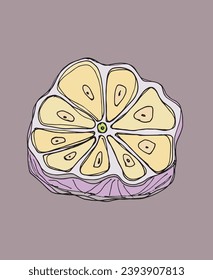 Ilustración de esquema de imagen vectorial del ajo.
Obra artística de mano de un ajo.
Simple y lindo logo original.
Ilustración vectorial dibujada a mano para afiches, tarjetas, camisetas.