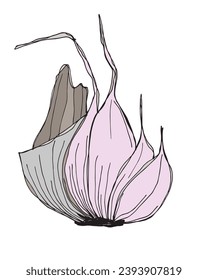 Outline illustration vector image of garlic.
Hand drawn artwork of a garlic.
Simple cute original logo.
Hand drawn vector illustration for posters, cards, t-shirts.