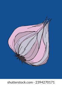 Outline illustration vector image of garlic.
Hand drawn artwork of a garlic.
Simple cute original logo.
Hand drawn vector illustration for posters, cards, t-shirts.