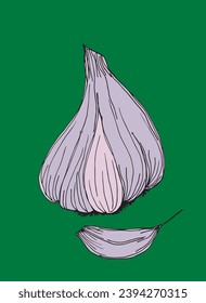 Outline illustration vector image of garlic.
Hand drawn artwork of a garlic.
Simple cute original logo.
Hand drawn vector illustration for posters, cards, t-shirts.