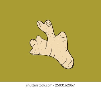 Outline illustration vector image of a ginger.
Hand drawn artwork of a ginger root.
Simple cute original logo.
Hand drawn vector illustration for posters.