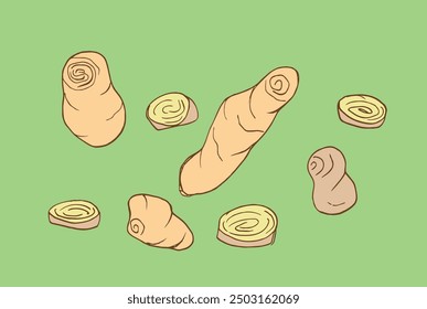 Outline illustration vector image of a ginger.
Hand drawn artwork of a ginger root.
Simple cute original logo.
Hand drawn vector illustration for posters.