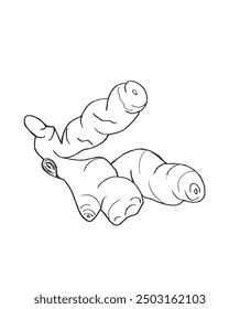 Outline illustration vector image of a ginger.
Hand drawn artwork of a ginger root.
Simple cute original logo.
Hand drawn vector illustration for posters.