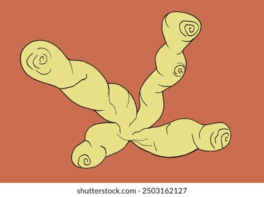 Outline illustration vector image of a ginger.
Hand drawn artwork of a ginger root.
Simple cute original logo.
Hand drawn vector illustration for posters.