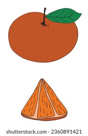 Outline illustration vector image of a grapefruit.
Hand drawn artwork of a grapefruit. 
Simple cute original logo.
Hand drawn vector illustration for posters, cards, t-shirts.