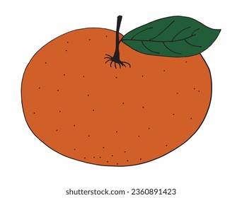 Umfassende Vektorgrafik eines Grapefruits.
Handgezeichnete Kunstwerke von Grapefruit. 
Einfaches, niedliches Originallogo.
Handgezeichnete Vektorgrafik für Poster, Karten, T-Shirts.
