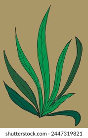 Outline illustration vector image of a grass.
Hand drawn artwork of a grass.
Simple cute original logo.
Hand drawn vector illustration for posters.