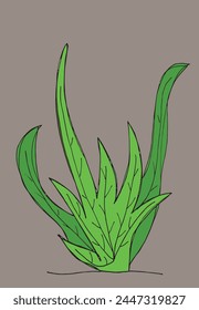 Outline illustration vector image of a grass.
Hand drawn artwork of a grass.
Simple cute original logo.
Hand drawn vector illustration for posters.