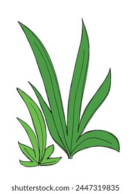 Outline illustration vector image of a grass.
Hand drawn artwork of a grass.
Simple cute original logo.
Hand drawn vector illustration for posters.