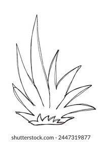 Outline illustration vector image of a grass.
Hand drawn artwork of a grass.
Simple cute original logo.
Hand drawn vector illustration for posters.