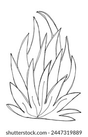 Outline illustration vector image of a grass.
Hand drawn artwork of a grass.
Simple cute original logo.
Hand drawn vector illustration for posters.