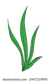 Outline illustration vector image of a grass.
Hand drawn artwork of a grass.
Simple cute original logo.
Hand drawn vector illustration for posters.