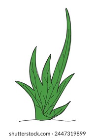 Outline illustration vector image of a grass.
Hand drawn artwork of a grass.
Simple cute original logo.
Hand drawn vector illustration for posters.