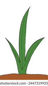 Ilustración de contorno Imagen de Vector de una hierba.
Dibujado a mano de una hierba.
Simple lindo logotipo original.
Ilustración vectorial dibujada a mano para carteles.