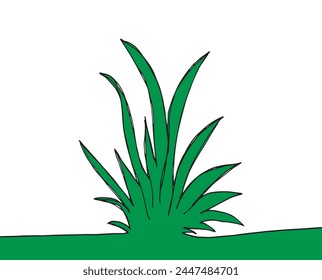 Outline illustration vector image of a grass.
Hand drawn artwork of a grass.
Simple cute original logo.
Hand drawn vector illustration for posters.