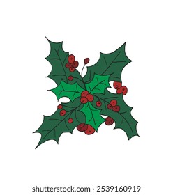 Outline illustration vector image of a holly.
Hand drawn artwork of a holly.
Simple cute original logo.
Hand drawn vector illustration for posters.