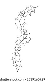 Outline illustration vector image of a holly.
Hand drawn artwork of a holly.
Simple cute original logo.
Hand drawn vector illustration for posters.
