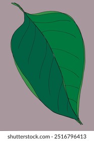 Outline illustration vector image of a leaf.
Hand drawn artwork of a leaf.
Simple cute original logo.
Hand drawn vector illustration for posters.