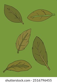 Outline illustration vector image of a leaf.
Hand drawn artwork of a leaf.
Simple cute original logo.
Hand drawn vector illustration for posters.