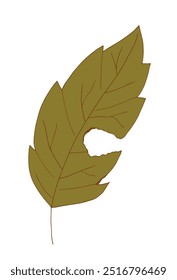 Outline illustration vector image of a leaf.
Hand drawn artwork of a leaf.
Simple cute original logo.
Hand drawn vector illustration for posters.