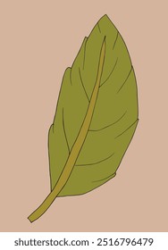Outline illustration vector image of a leaf.
Hand drawn artwork of a leaf.
Simple cute original logo.
Hand drawn vector illustration for posters.